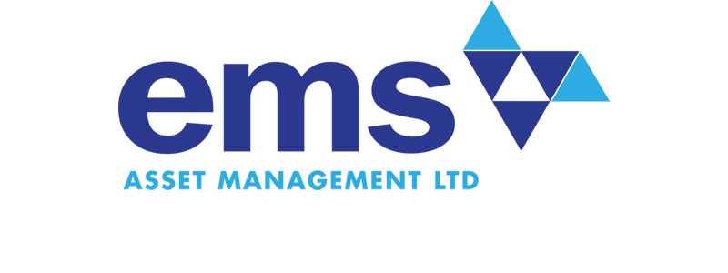 ems logo asset